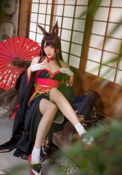 天堂视频网