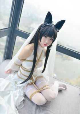 《扫黑·决不放弃》免费观看