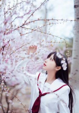 主人电影